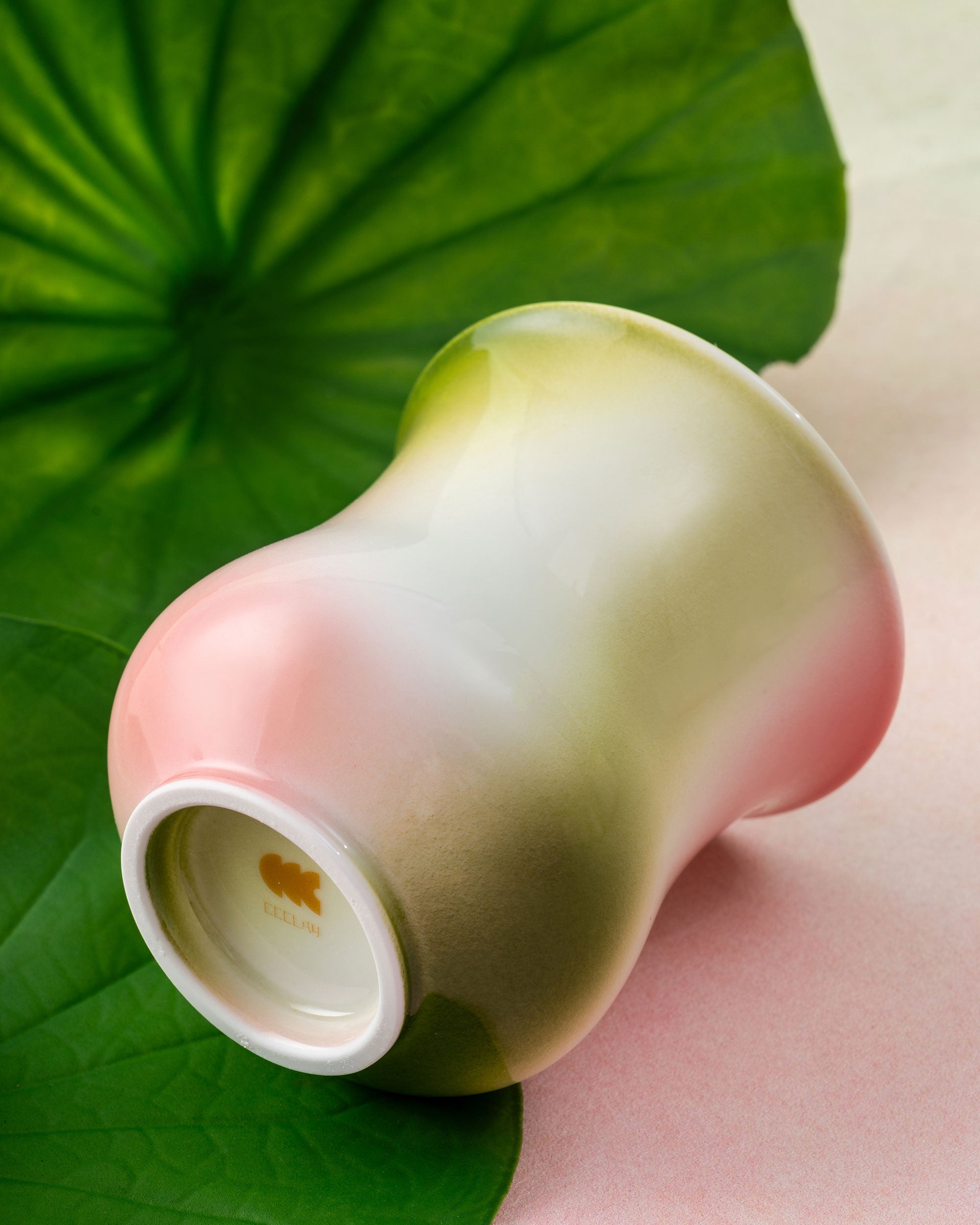 Water Lily - Competition Cup